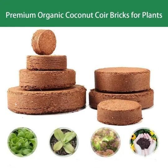 Organic Coconut Coir for Plants Pack of 10