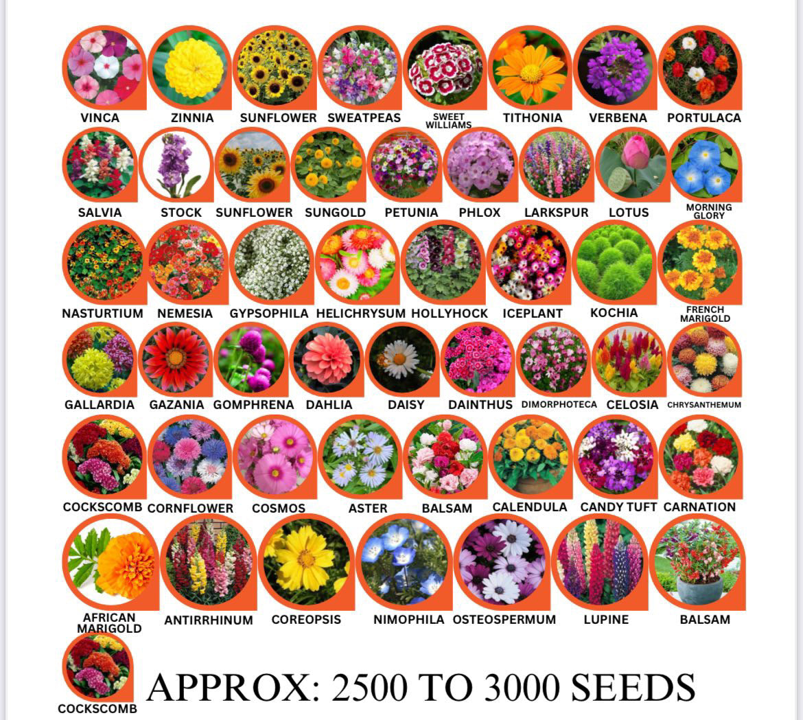 Buy Varieties of Flower Seeds ( 100 variety individual packets ) And Get Plant Growth Supplement Free